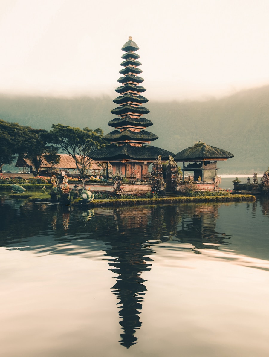 Rizières et paysage tropical à Bali